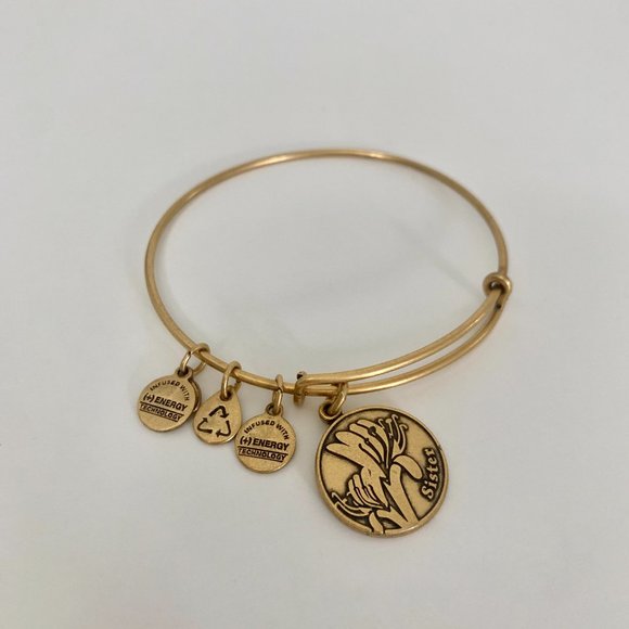 NWOT Alex and Ani Gold Sister Charm Bangle - Picture 2 of 2